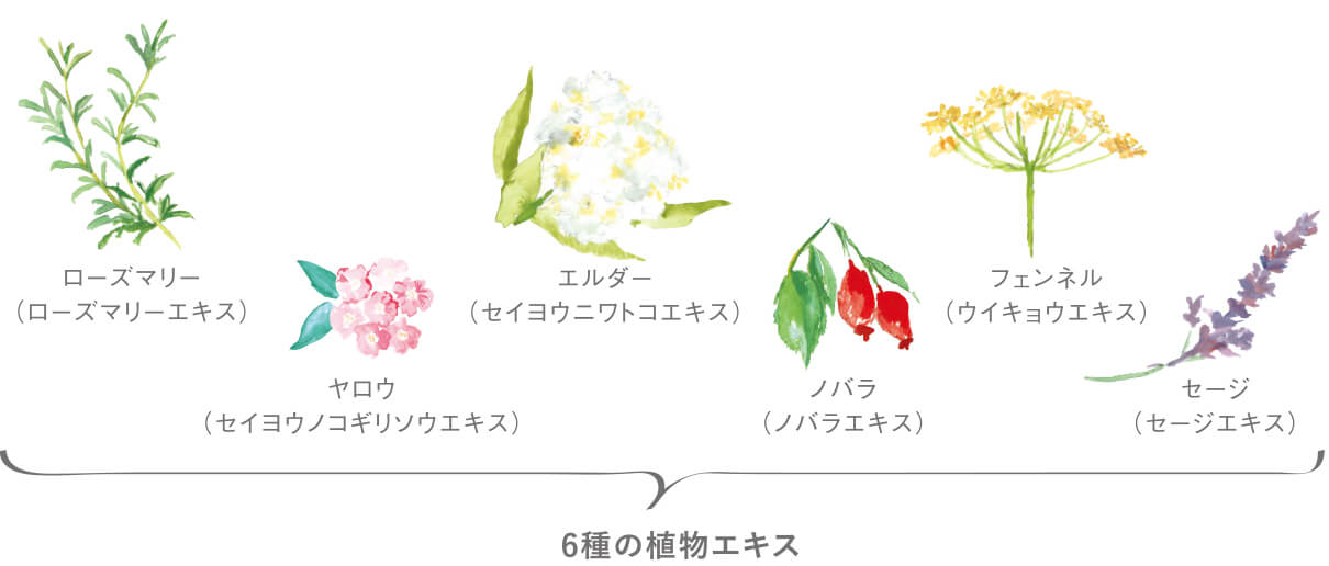 6種の植物エキス