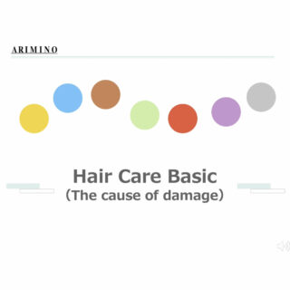 【e-learning_2】The Cause of Hair Damage