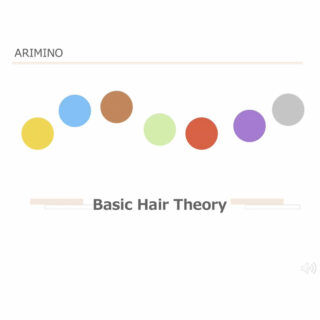 【e-learning_1】Basic Hair Theory