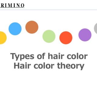 【e-learning_7】Types of Hair Color -Hair Color Theory –